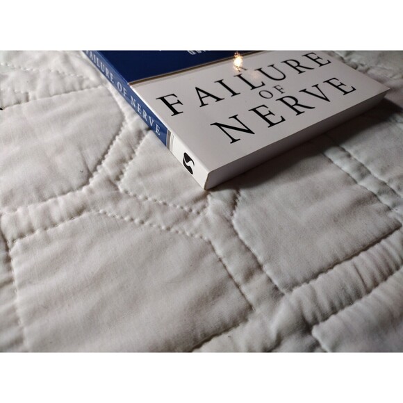 A Failure of Nerve: Leadership in the Age of the Quick Fix By Edwin H. Friedman - Picture 4 of 14